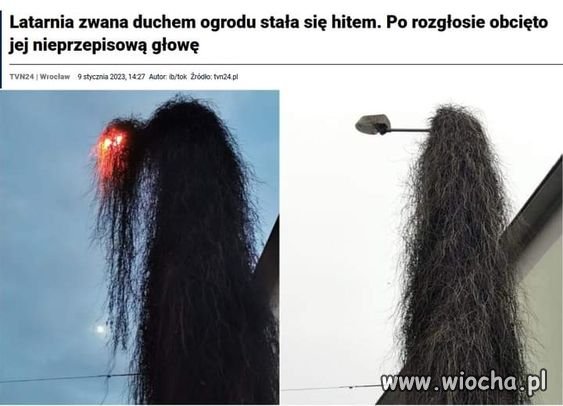 Przyroda