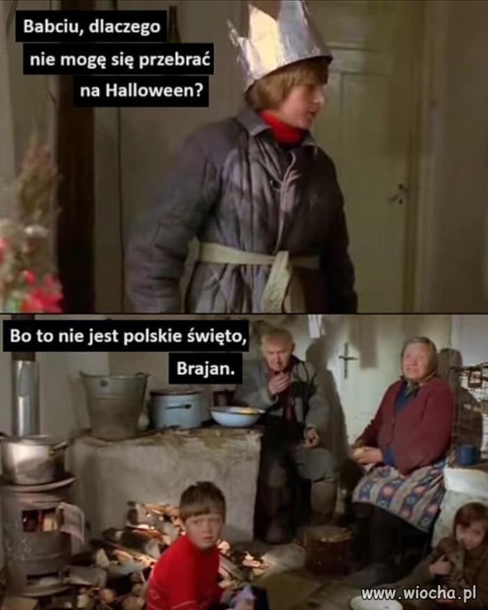 Bareja wiecznie żywy