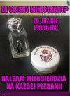 To naprawdę można kupić