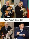 Wszyscy lubią psy