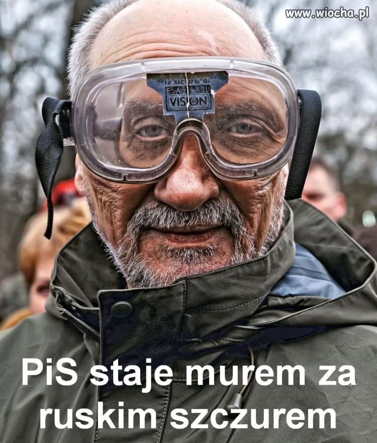 PiS staje murem za ruskim szczurem