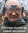 PiS staje murem za ruskim szczurem