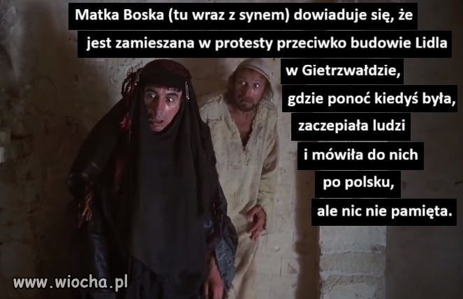 Celebryci, którzy protestowali 