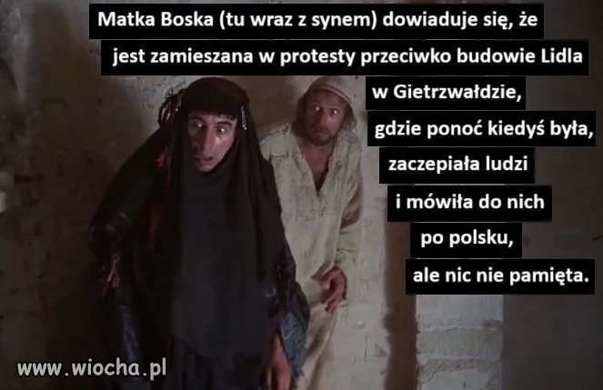 Celebryci, którzy protestowali 