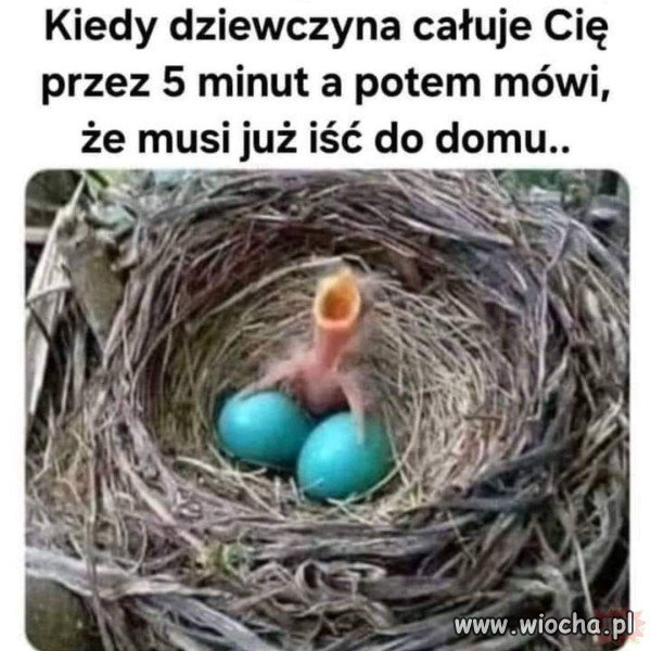 Taki tam sobie humor.