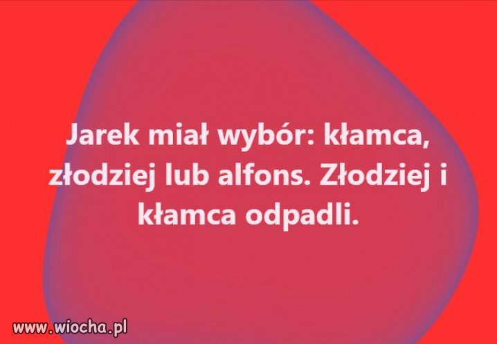 W PiS sami kłamcy złodzieje i oszuści!