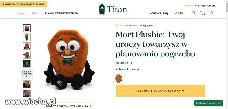 Pluszowa Trumna.