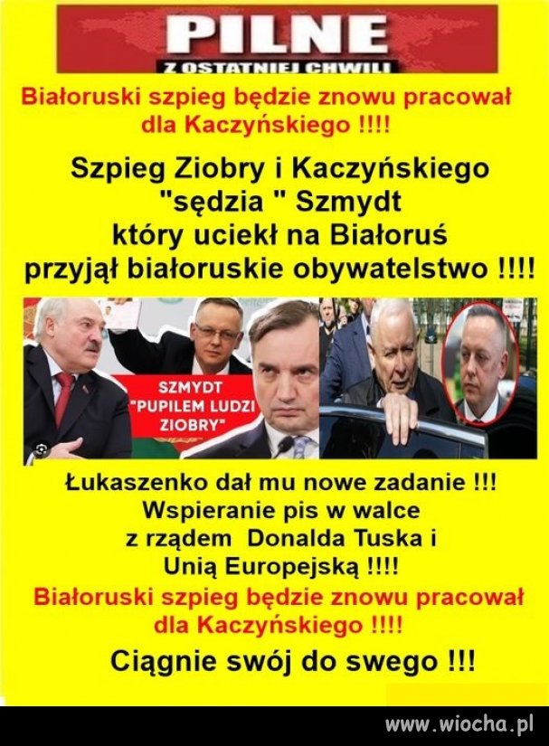 PiSiaki, uciekając przed prawem i sprawiedliwością