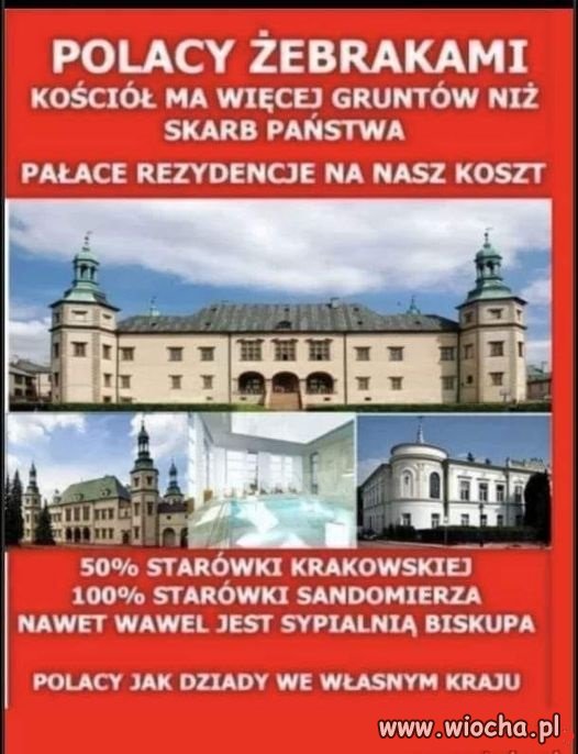Pogonić czarną hołotę