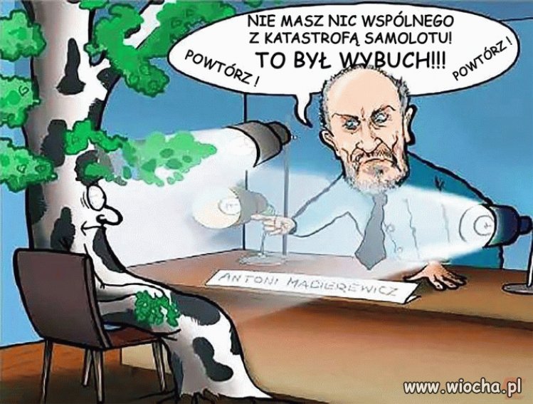 Świat według Antka,