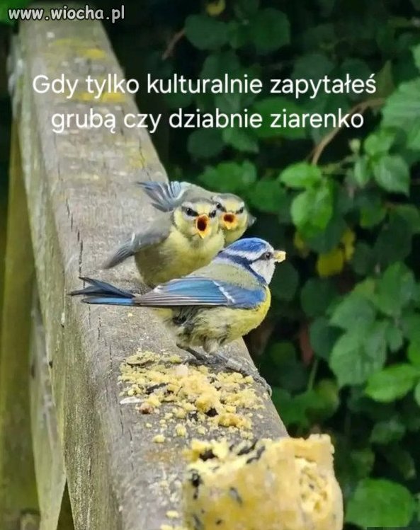 Pamiętaj ona jest gruba bo geny i tarczyca 