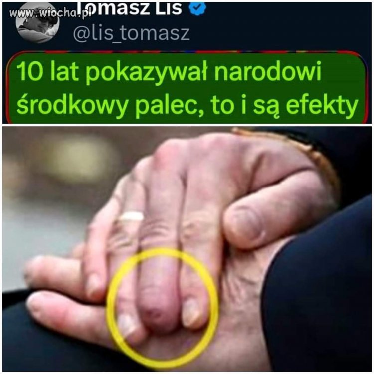 Mafia Agacie