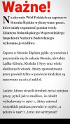 PiSiaki to takie współczesne kufniane Midasy !