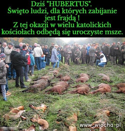 V Nie zabijaj !