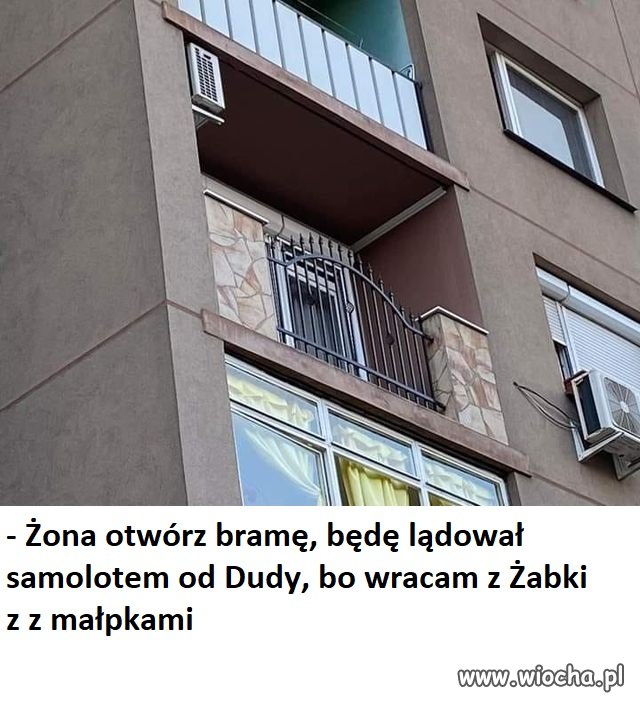 Się powodzi pisowcom...
