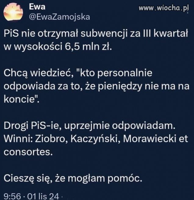 Szukanie 
