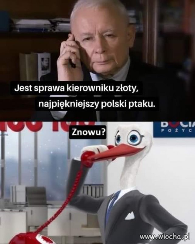 Znowu? Obawiam się, że straciliście zdolność ...