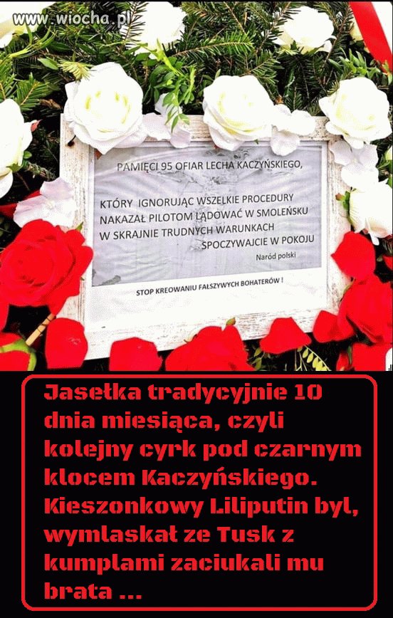 Pisowska żenada