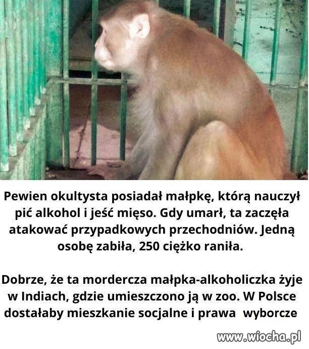 Takie to mieliśmy rządy