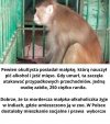 Takie to mieliśmy rządy