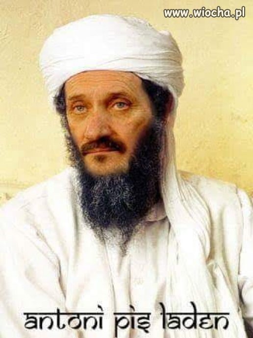 Talib smoleński ...