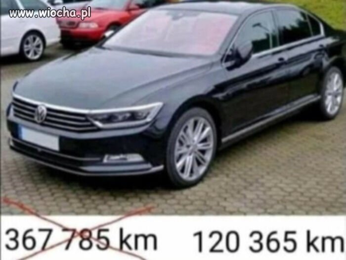 Czy upolowałeś coś