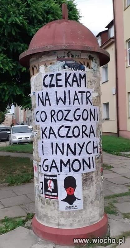 Kto wie ten wie