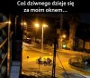 Tymczasem