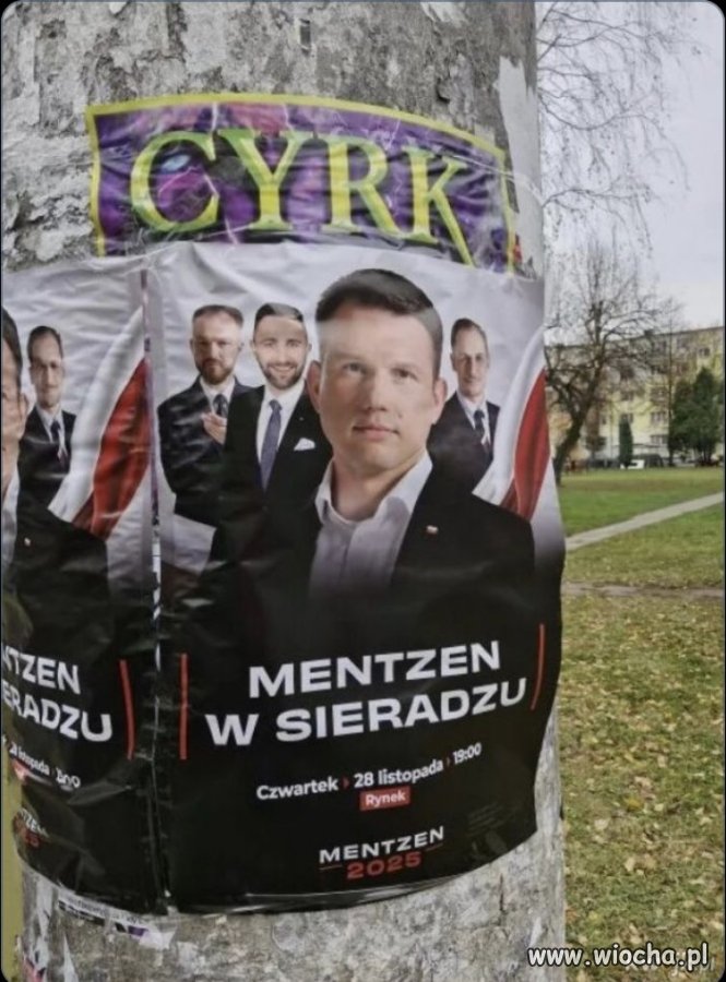 Tyle w temacie