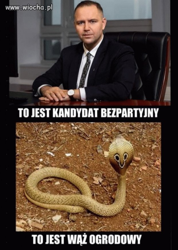 Tyle w temacie