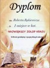 Dyplom.