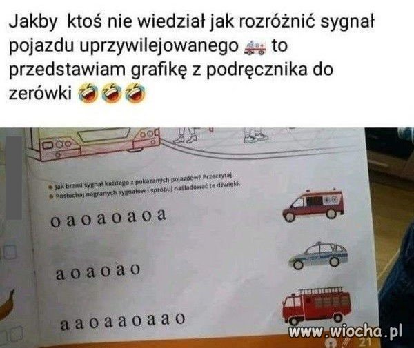 Edukacja