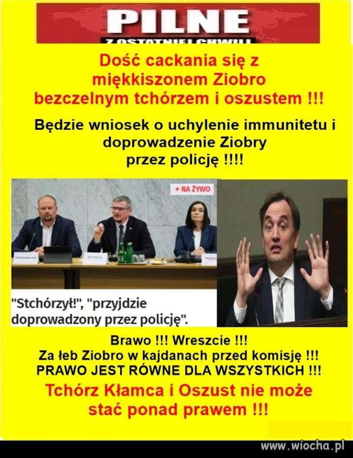 Doprowadzić w kajdanach, tak jak innych złodziei 