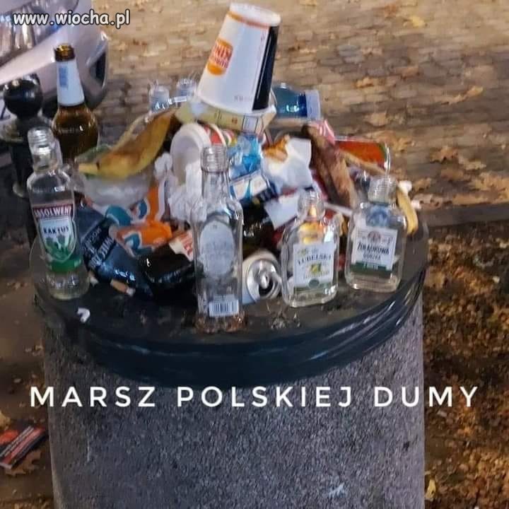 Narodowcy na Marszu.