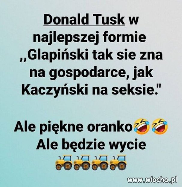 Nic dodać, nic ująć 