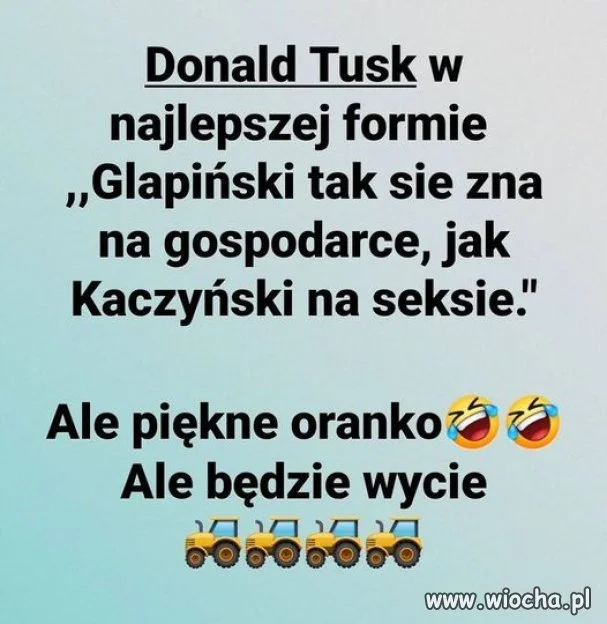 Nic dodać, nic ująć 