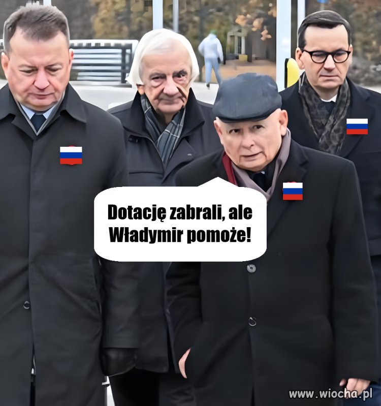 Poszkodowane szkodniki.