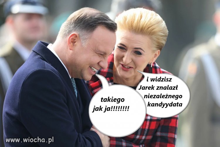Szukał