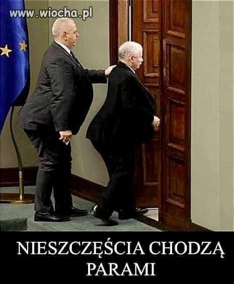 Idą gęsi