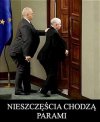 Idą gęsi