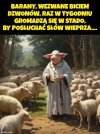 Co niedzielę, w miasteczkach,