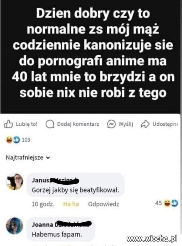 Trzeba mieć jakieś ulubione kino.
