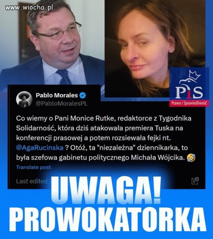 Pisowska hejterka
