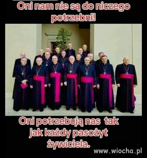 To my ich żywimy