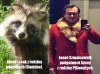 Genetyczny donosiciel.
