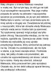 Historia jakich wiele