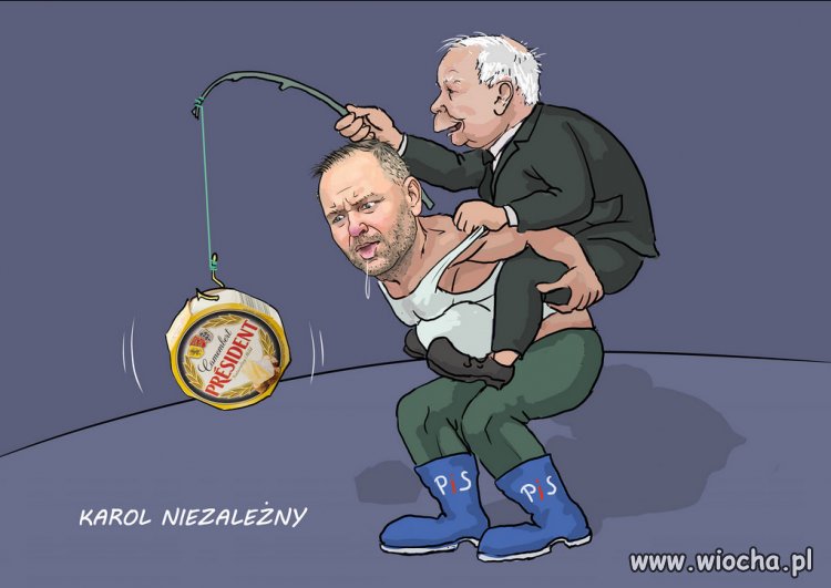 Czy wszyscy wstydzą się PiSu i są "niezależni"?