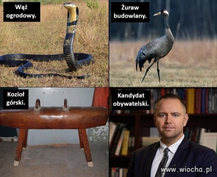 Dokładnie tak