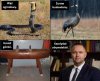 Dokładnie tak