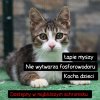 I mruczy fantastycznie